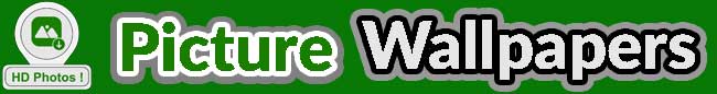 Desktop Live Wallpaper+ Settings