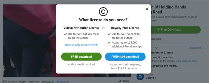 Downloading a video from Vivedo.net